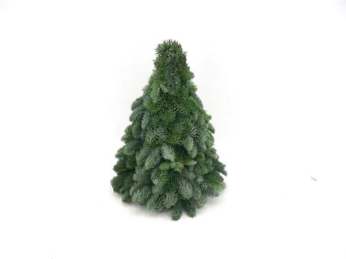 Kerstboom Nobilis groen 40 cm