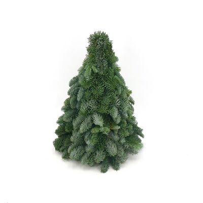 Weihnachtsbaum Nobilis grün 40 cm