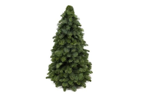 Kerstboom Nobilis 60 cm