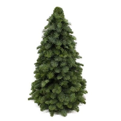 Árbol de Navidad Nobilis 60 cm