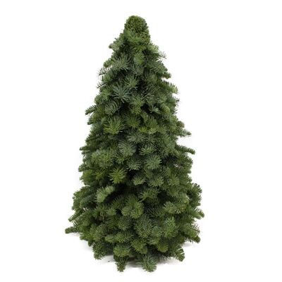 Sapin de Noël Nobilis 60 cm