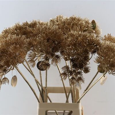 Hogweed - Arte - Oro antiguo - 75 cm