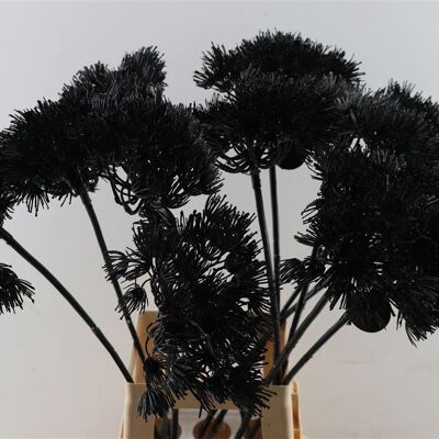 Hogweed - Art - Black - 75 cm