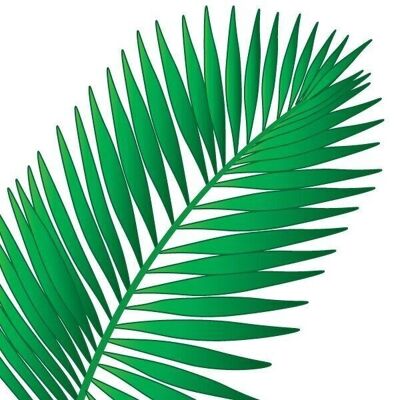 ESPONJA LIMPIADORA CCA64B-LA PALME