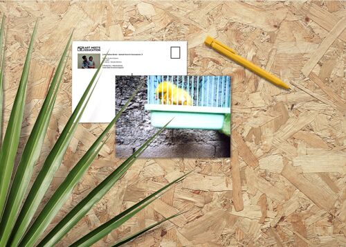 Little Yellow Birdie - Aaliyah Euro M. C., 5 Jahre - Postkarte A6