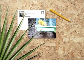 Little Yellow Birdie - Aaliyah Euro M.C., 5 ans - Carte postale A6 1