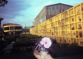 Flower Girl - Steven Paner, 8 ans - carte postale A6 2