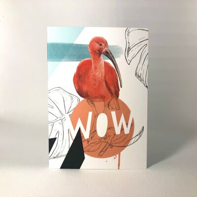 Scarlet Ibis - Wow Carte de vœux