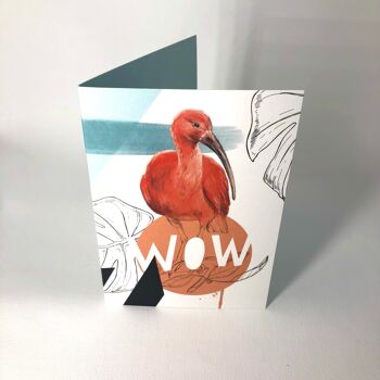 Scarlet Ibis - Wow Carte de vœux 2