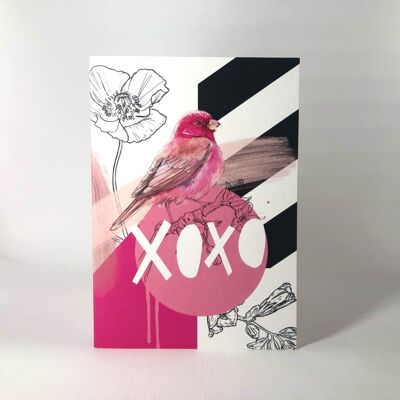 Rose Finch XOXO Grußkarte
