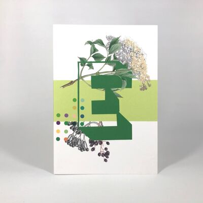 Botanical Alphabet E Greeting Card