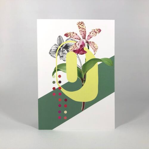 Botanical Alphabet O Greeting Card