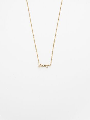 Collier de Tauro 1