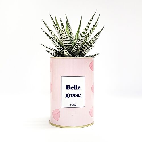 Cactus - Belle gosse