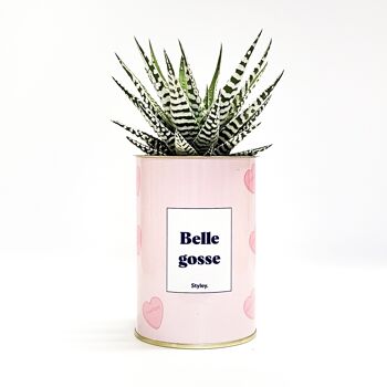 Cactus - Belle gosse 1