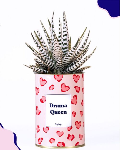 Cactus - Drama Queen
