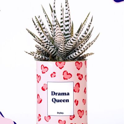 Cactus - Drama Queen