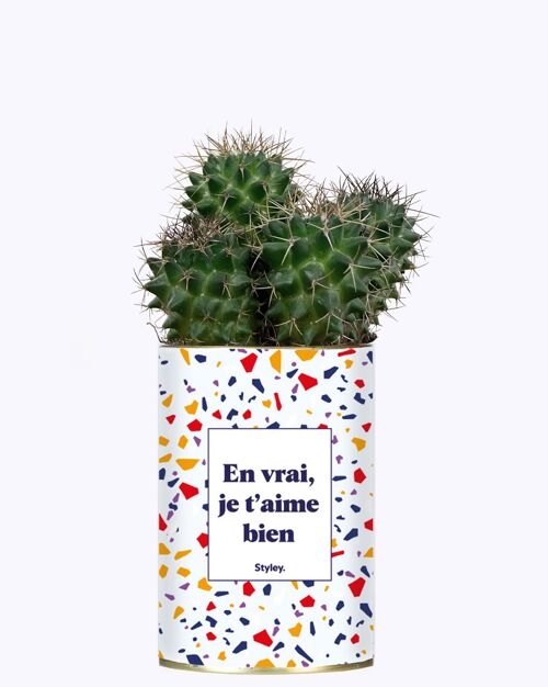 Cactus - En vrai, je t'aime bien
