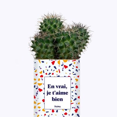 Cactus - En vrai, je t'aime bien