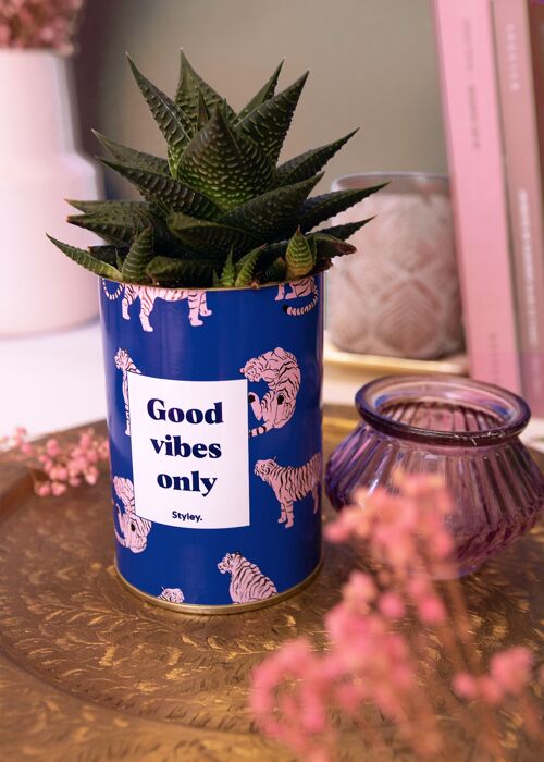 Cactus - Good Vibes