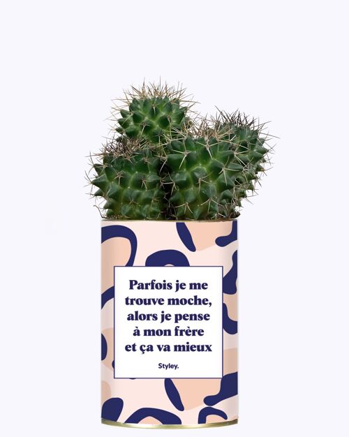 Cactus - Frère moche