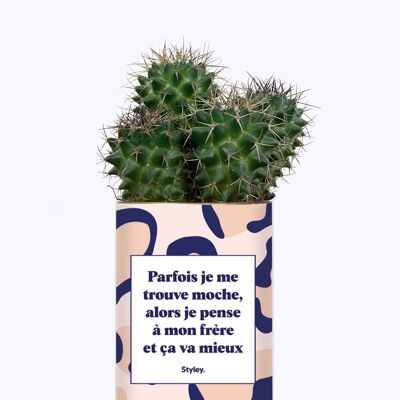 Cactus - Hermano feo