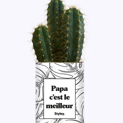 Cactus - Papà è il migliore