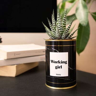 Cactus - Working girl