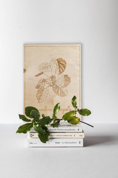 Monstera Variegata plywood decoration A2 – 42 x 59,4 cm