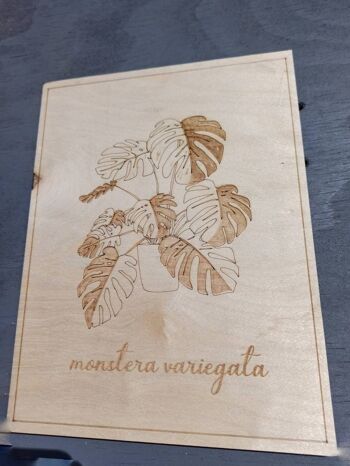 Monstera Variegata contreplaqué décoration A3 29,7x42 5