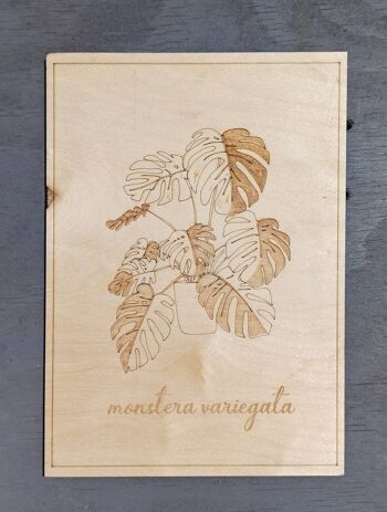 Monstera Variegata contreplaqué décoration A4 21x29, 7 3