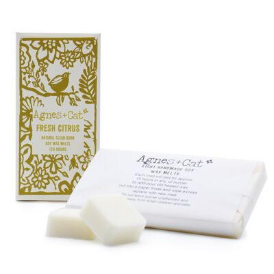 Box of 8 Wax Melts - Citrus - 4 pack