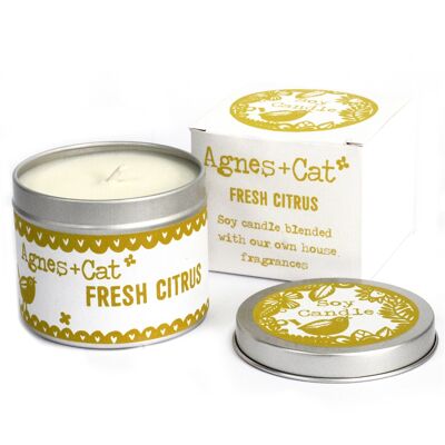 200ml Soy Wax Tin Candle - Fresh Citrus - 6 pack