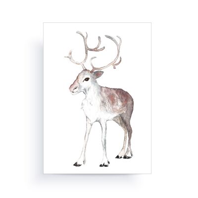 Reindeer Card