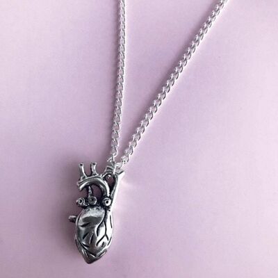 Anatomical Heart Necklace - 16" Necklace