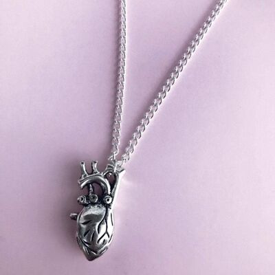 Anatomical Heart Necklace - 20" Necklace