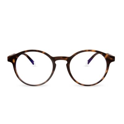 Le Marais Tortoise - Blue Light Glasses