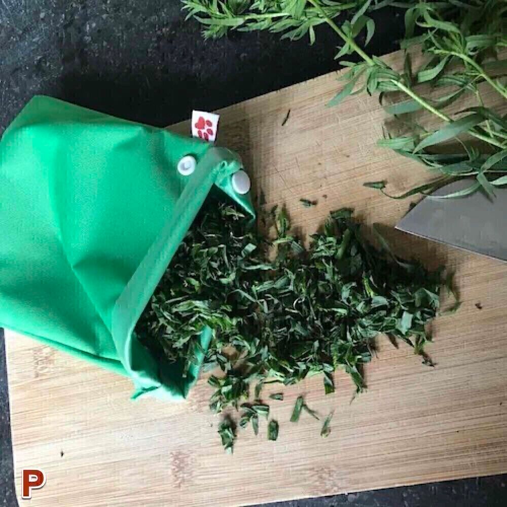 Reusable Freezer Bag: Large - GREEN