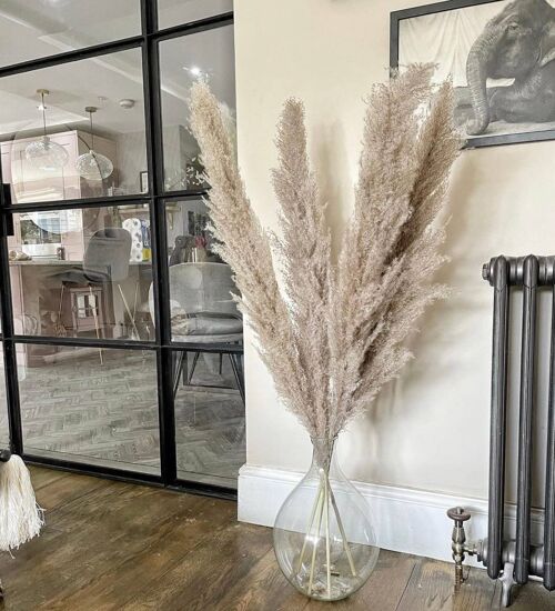 Grey/beige tall pampas grass