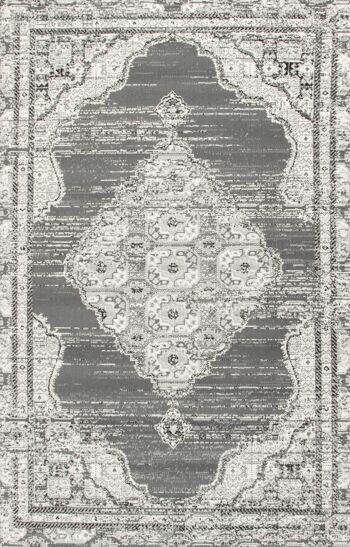 Tapis Kashan Oriental Délavé Contemporain Gris - Texas - 60x230cm 2