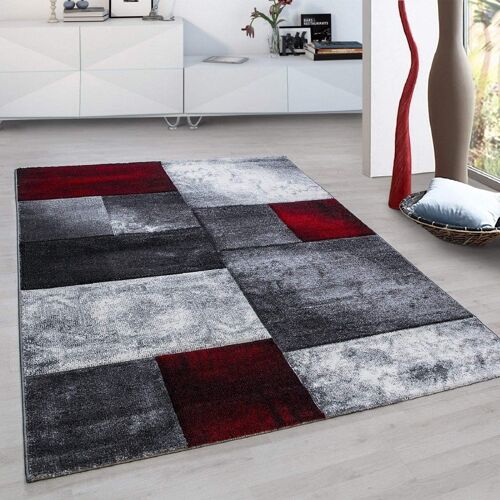Washed Red Checked Abstract Rug - Hawaii