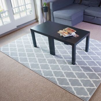 Tapis Anejo Gris - Texas - 60 x 230cm 1