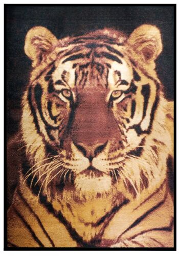 Tapis Tigre Marron - Texas Animal Kingdom - 60 x 110cm 2