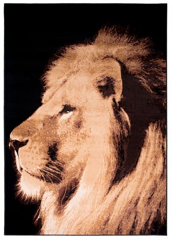 Tapis Lion Marron - Texas Animal Kingdom - 190 x 280cm 2