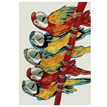 Tapis Perroquet Artistique Multicolore - Floride - 120x170cm (4'x5;8") 2