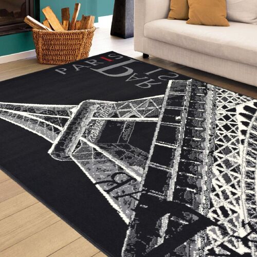 Paris Design Rug - Texas - 80x150cm (2'8"x5')