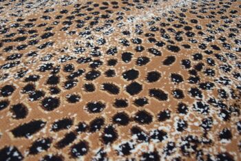 Tapis en peau de léopard en terre cuite - Texas Animal Kingdom - 120x170cm (4'x5'8") 7