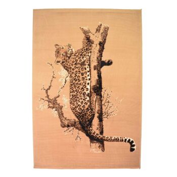 Tapis Cheetah Marron - Texas Animal Kingdom - 60x110cm (2'x3'7") 2