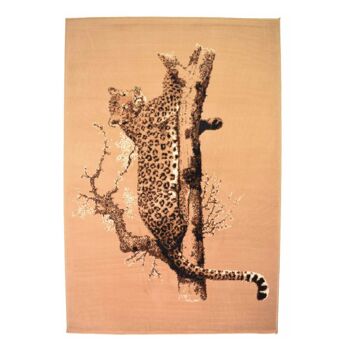 Tapis Cheetah Marron - Texas Animal Kingdom - 120x170cm (4'x5'8") 2