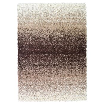 Tapis Shaggy Mélange Marron - California - 120x170cm (4'x5'8") 2